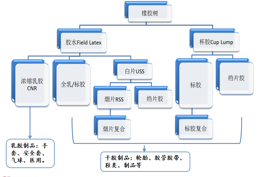 一文搞懂浓乳、全乳、标准胶、子午胶、胶清胶、浅色胶、乳胶丝、烟胶片!